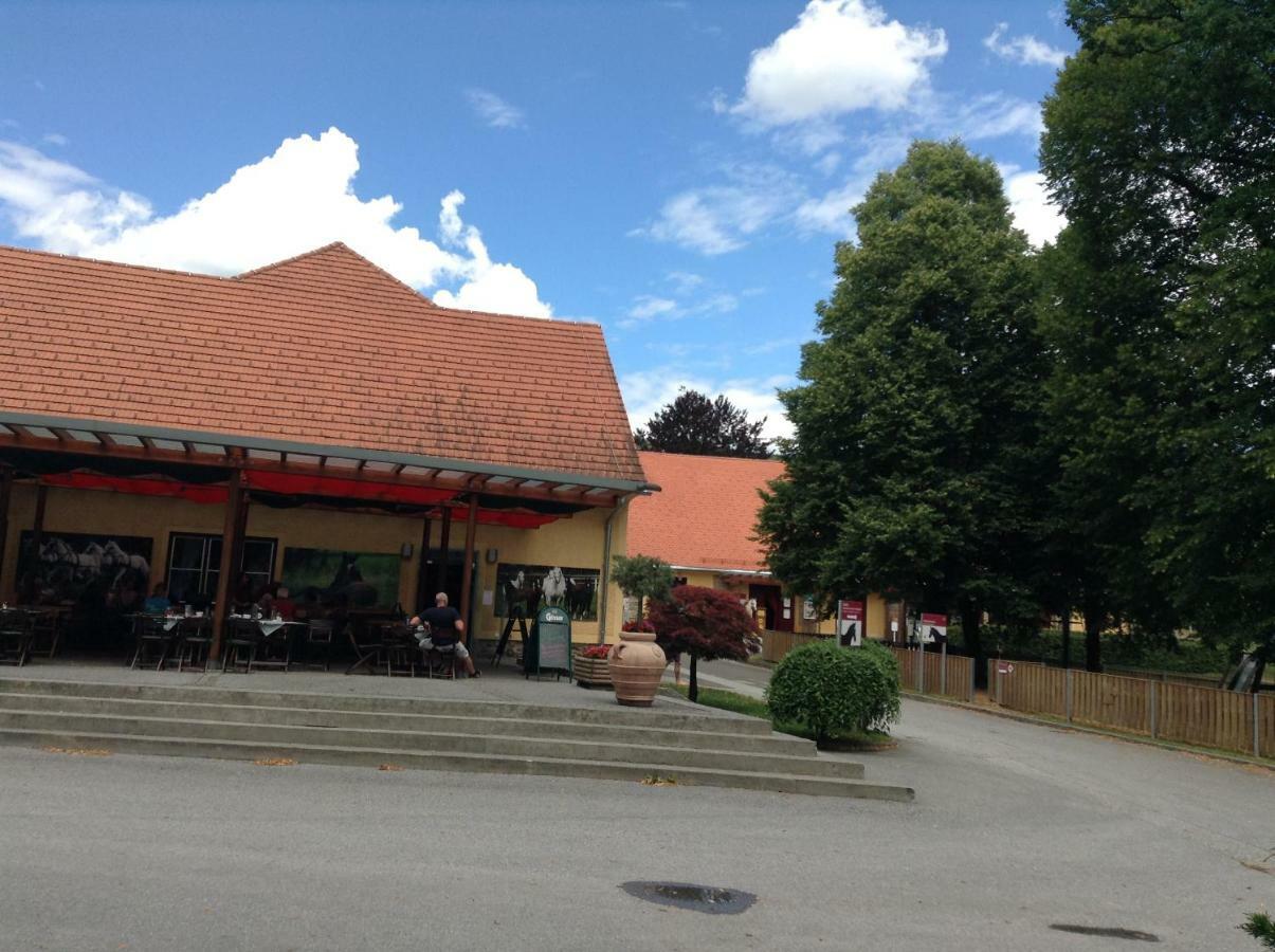 Weststeirische Ferienwohnung Piber Exterior photo